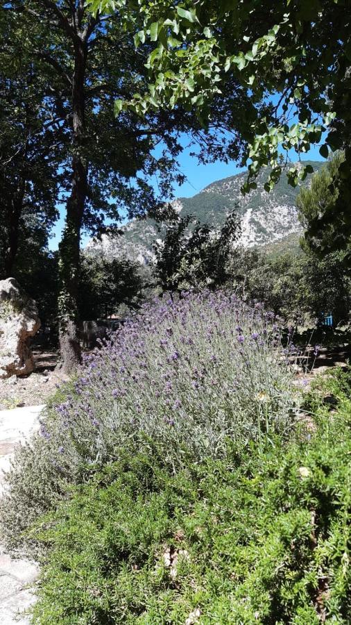 Azienda Agrituristica La Torretta 토코 다 카사우리아 외부 사진