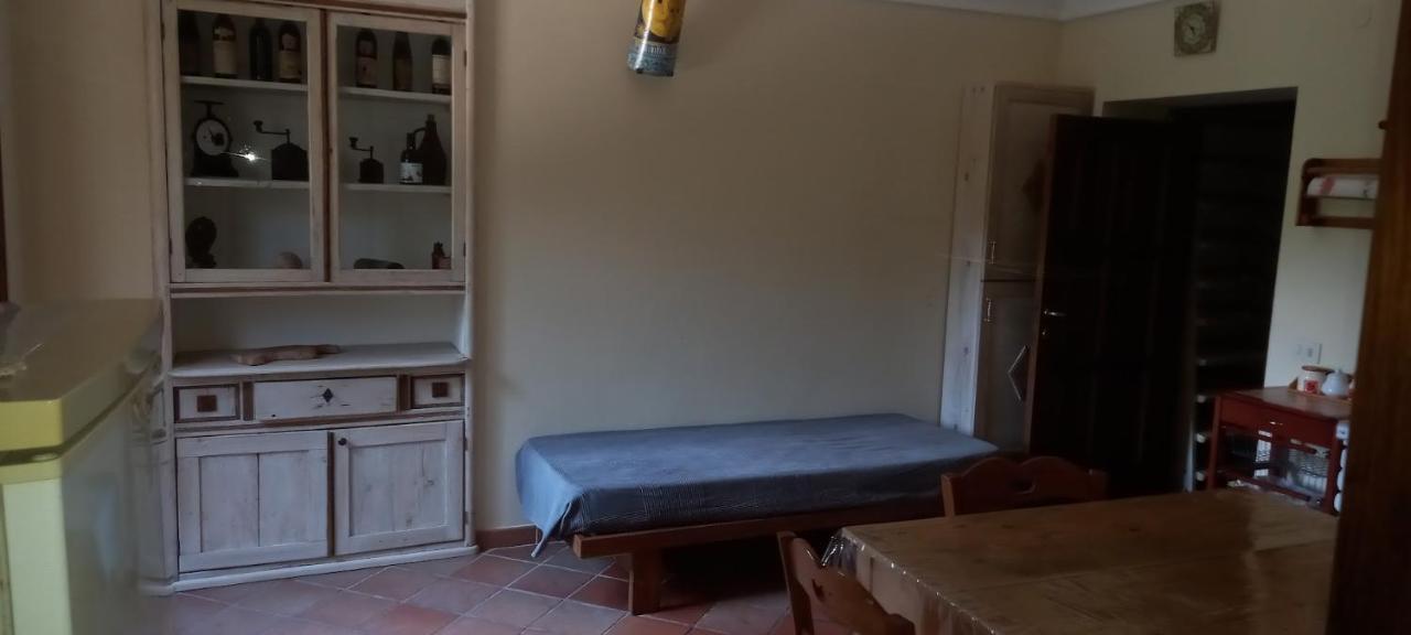 Azienda Agrituristica La Torretta 토코 다 카사우리아 외부 사진