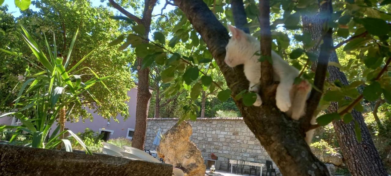 Azienda Agrituristica La Torretta 토코 다 카사우리아 외부 사진