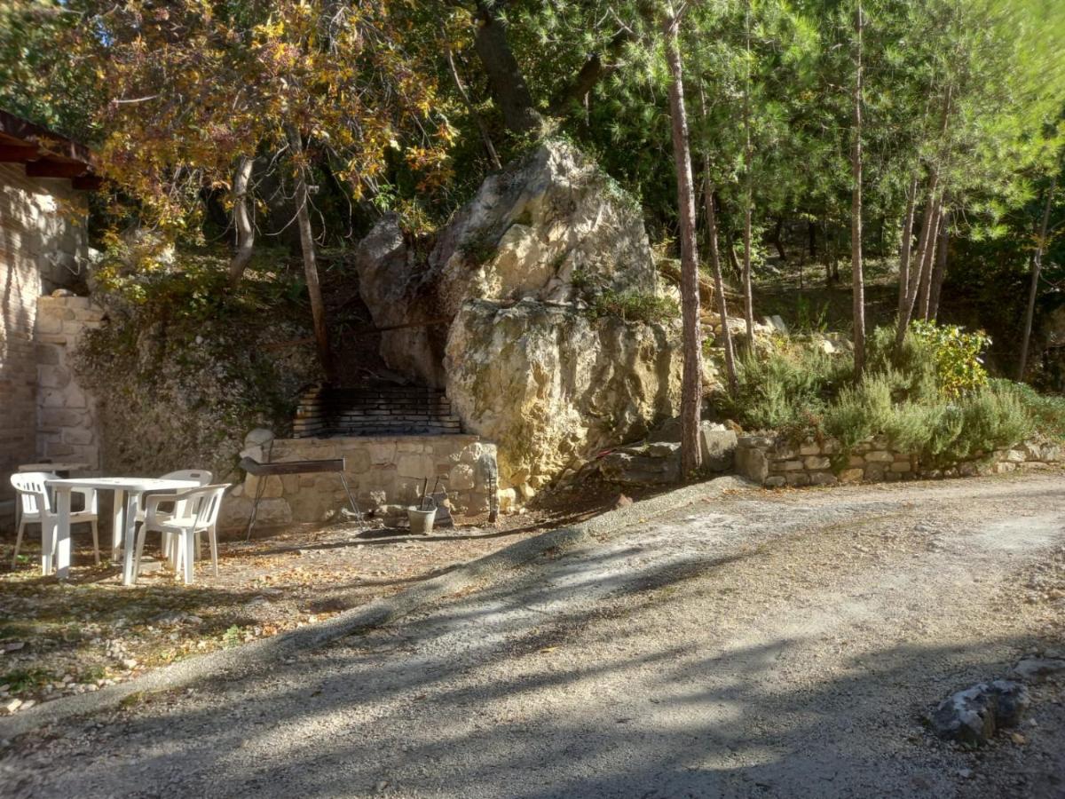 Azienda Agrituristica La Torretta 토코 다 카사우리아 외부 사진