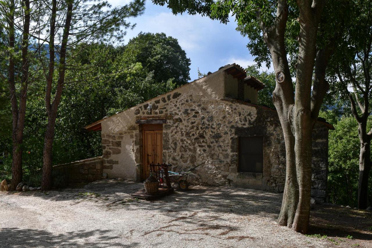 Azienda Agrituristica La Torretta 토코 다 카사우리아 외부 사진