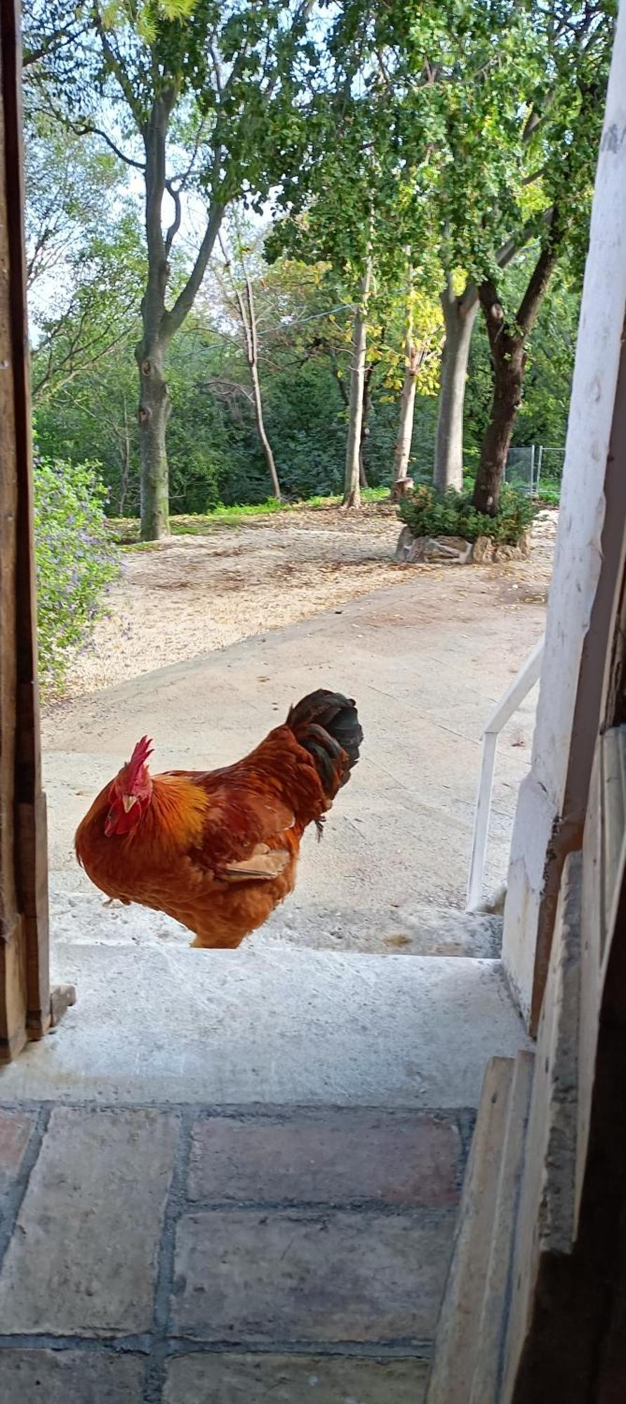 Azienda Agrituristica La Torretta 토코 다 카사우리아 외부 사진